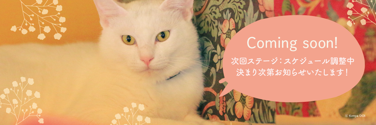 ネコ座スケジュール ネコ市ネコ座 保護猫文化祭